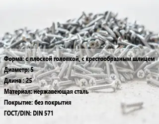 Шуруп с плоской головкой, с крестообразным шлицем 5х25 нержавеющая сталь без покрытия ГОСТ: DIN 571